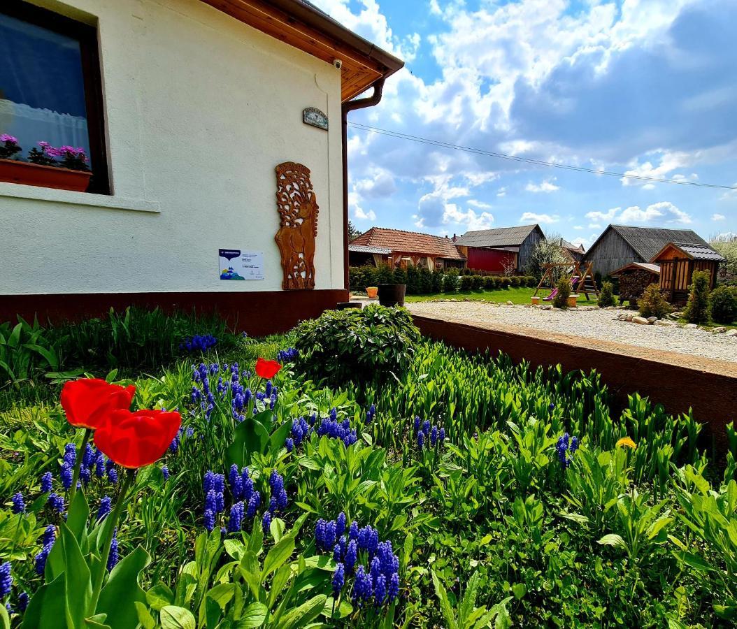 Bambi Haziko Apartment Aggtelek Exterior photo